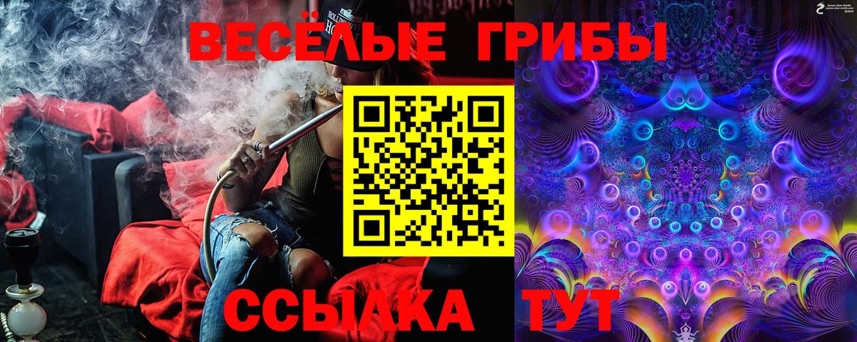 Галлюциногенные грибы Psilocybine cubensis Губкин