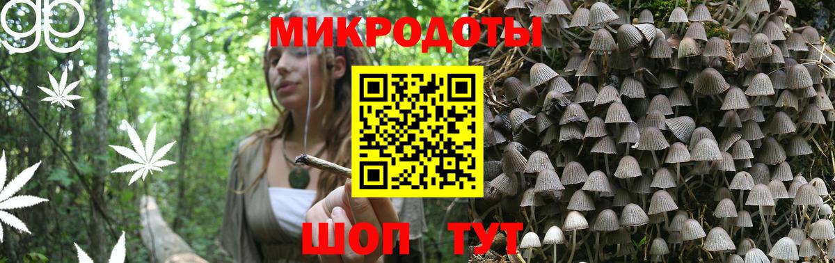 купить закладку  Галлюциногенные грибы Magic Shrooms  Губкин  Вход с VPN  Галлюциногенные грибы Psilocybe 